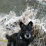 Ersteller:in Steffi Profilbild