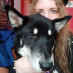 Ersteller:in Liz Profilbild