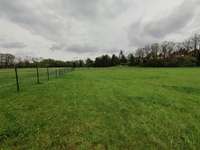 Hundeauslaufgebiet-Eingezäunte Hundewiese-Bild