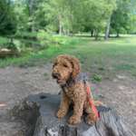 Ersteller:in Matilda Profilbild