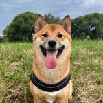 Ersteller:in Michelle Profilbild