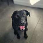 Ersteller:in Tobias Profilbild