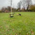 Hundeauslaufgebiet-Vogtsgarten/Pauenstraße-Bild