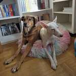 Ersteller:in Theresa Profilbild