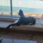 Ersteller:in Silke Profilbild