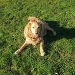 Ersteller:in Sarah Profilbild