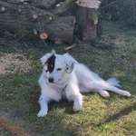 Ersteller:in Claudia Profilbild