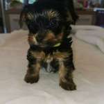 Ersteller:in Michaela Profilbild