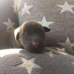 Ersteller:in Bine Profilbild