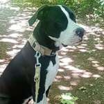 Ersteller:in Dennis & Svenja Profilbild