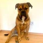 Ersteller:in Annika Profilbild