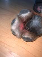 Ballen gerissen. Jetzt gerötet.-Beitrag-Bild