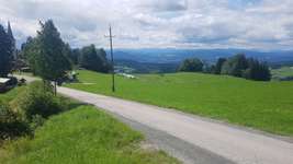 Hundeauslaufgebiet-St. Oswald, Saualpe-Bild