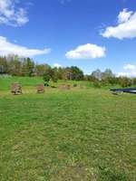 Hundeauslaufgebiet-Eselsberg-Bild