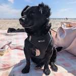 Ersteller:in Martina Profilbild