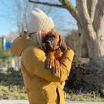 Ersteller:in Kim Profilbild