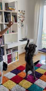 Trick Challenge Nr. 15-Beitrag-Bild