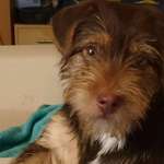 Ersteller:in Mona Profilbild