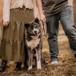 Ersteller:in Inga Profilbild