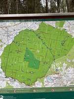 Hundeauslaufgebiet-Ebersberger Forst/Anzinger Forst-Bild