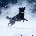 Ersteller:in Lucy Profilbild