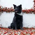 Ersteller:in Lou und Profilbild