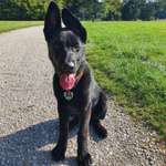 Ersteller:in Rukaia Profilbild