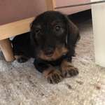 Ersteller:in Sabine Profilbild