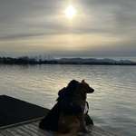 Ersteller:in Lena Profilbild