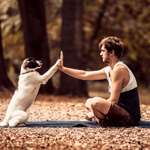 Ersteller:in Hubi & Profilbild