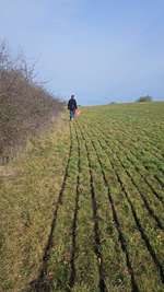 Hundeauslaufgebiet-Rottenburg Weggental Runde-Bild