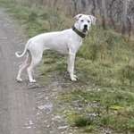 Ersteller:in Melanie Profilbild