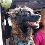 Ersteller:in Denise Profilbild