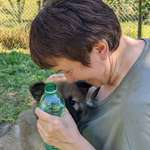 Ersteller:in Rosa Profilbild