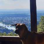 Ersteller:in Fedo Profilbild