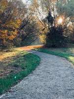 Hundeauslaufgebiet-Malchower See-Bild