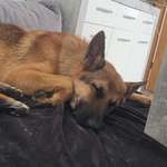 Ersteller:in Jule Profilbild