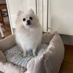 Ersteller:in Cassie Profilbild