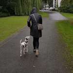 Ersteller:in Verena Profilbild