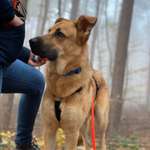 Ersteller:in Sabine Profilbild