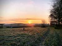 Hundeauslaufgebiet-Burkheim Feldwege & Acker-Bild