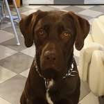 Ersteller:in Anja Profilbild