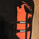 Hunde Zubehör-Beitrag-Bild