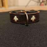 Hunde Zubehör-Beitrag-Bild