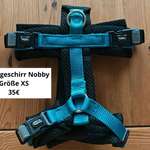 Hunde Zubehör-Beitrag-Bild