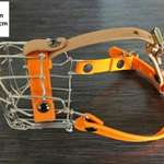 Hunde Zubehör-Beitrag-Bild