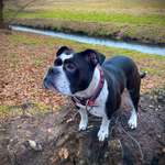 Ersteller:in Neele Profilbild