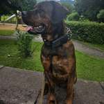 Ersteller:in Mike Profilbild