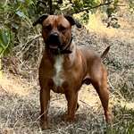 Ersteller:in Michaela Profilbild