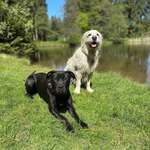 Ersteller:in Linnsay Profilbild